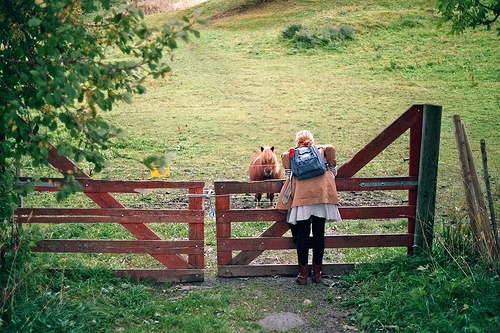 小学生好词好句积累摘抄图片,一些上面有优美句子的图片