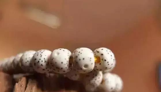 星月的正确玩法,入手星月有什么需要注意