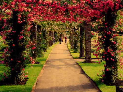 有文字的背景图正能量,正能量意境文字图片