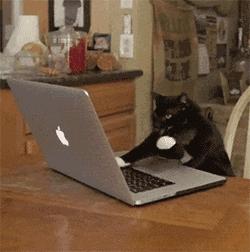 一键比价，广告屏蔽，我不会告诉你是因为用了这7个浏览器插件！