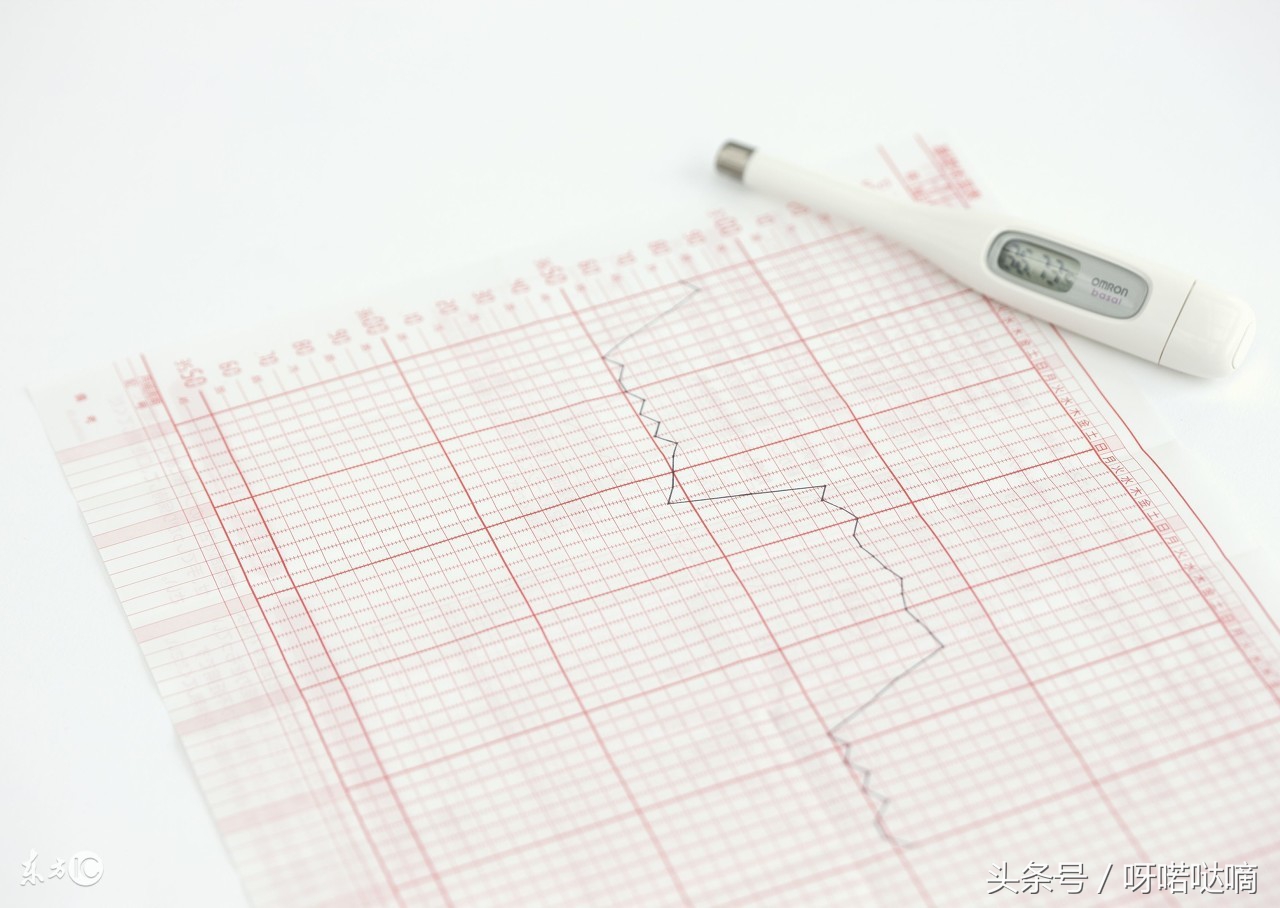 排卵期哪天中奖率高,受孕率最高是在排卵前还是排卵后