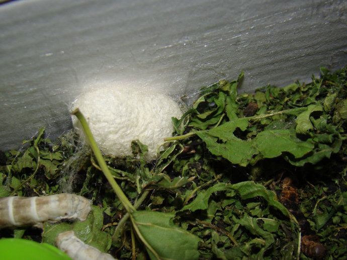 熬得住出众熬不住就出局文案,熬得住出众熬不住就出局的下一句