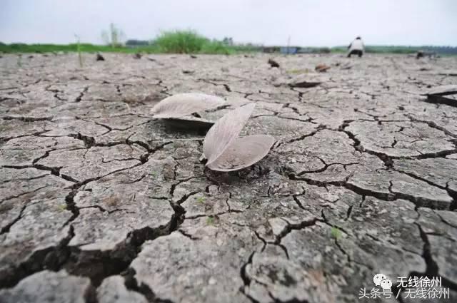 暴露年龄的真实现象,暴露年龄的时候到了十几年前