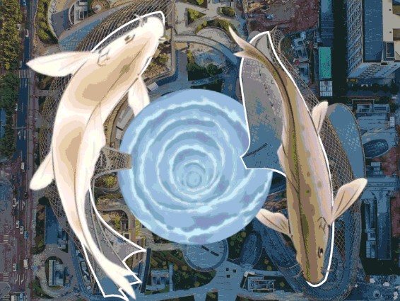 足协杯广州德比前瞻,足协杯恒大vs广州日之泉比分预测