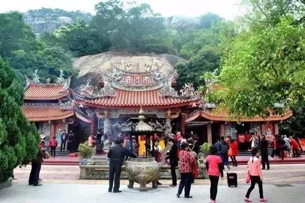 湖北松菌最多的地方,湖北松是什么意思