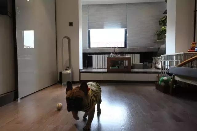 36㎡打造乐活居,你什么样,生活就什么样!