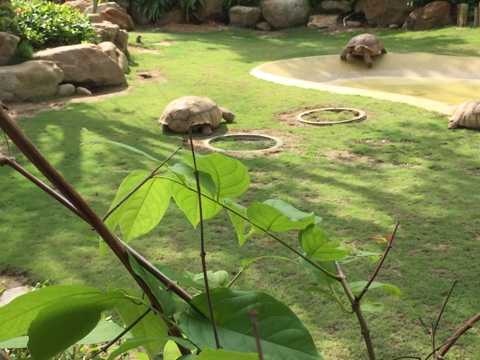 珠海长隆海洋王国游记作文,珠海长隆海洋王国游记