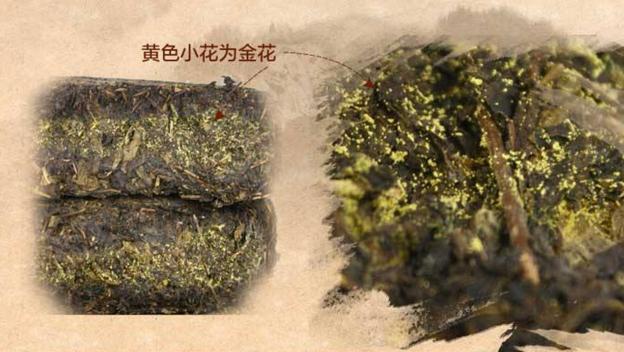 怎么鉴别茯砖茶,茯砖茶如何鉴别
