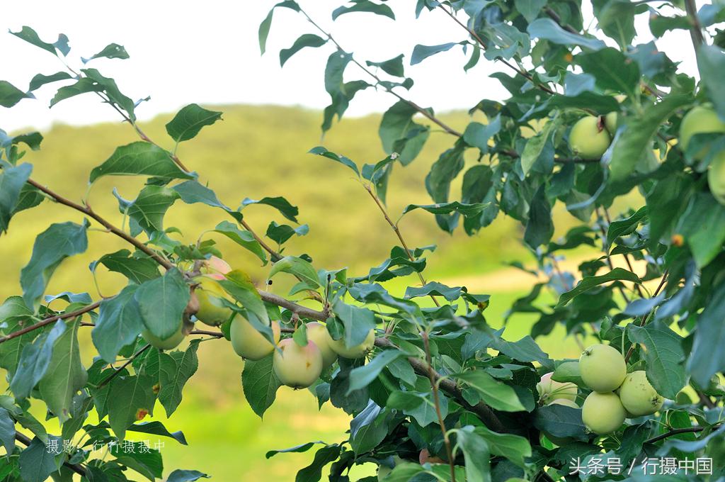 沈阳周边游水库,沈阳附近温泉一日游清河半岛