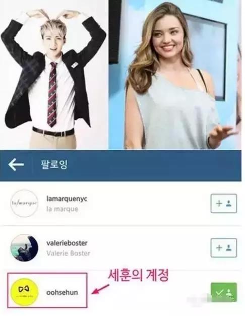 明星追星也疯狂完整版,明星追星也疯狂视频