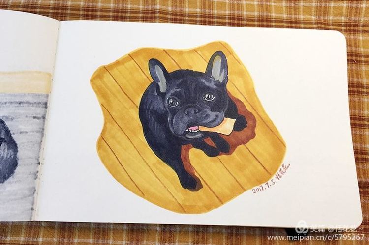 灏忕嫍ins椋庣畝鍗曞張濂界湅缁樼敾,钀屽疇鐙楃嫍缁樼敾浣滃搧