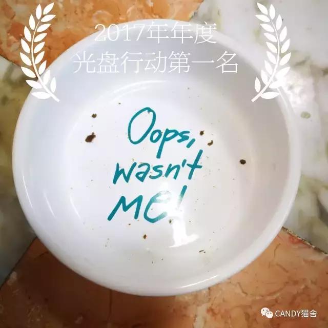 体验报告,猫生烘焙猫粮测评