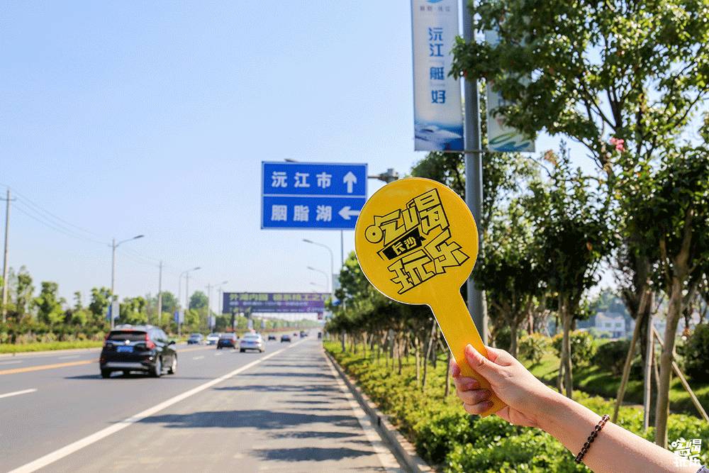 对不起我要离开了的古文,对不起我要离开了文章