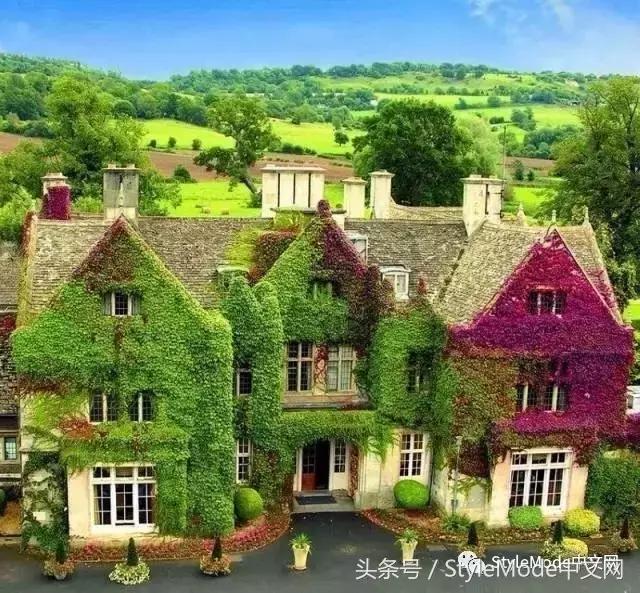 再普通的房子遇上爬山虎，都会变成别具一格的城堡！