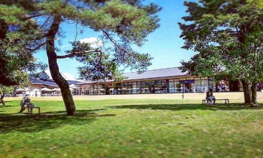 购物攻略,购物攻略百联