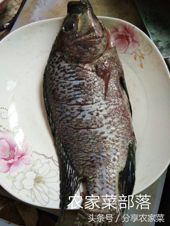 泡椒鱼最简单的做法,怎样做重庆味的泡椒鱼