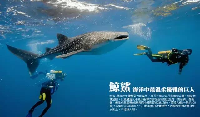 最值得去的4个海岛 (十大绝美海岛旅游攻略)