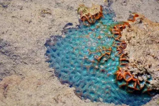 面朝大海春暖花开涠洲岛之旅,海景圣地涠洲岛