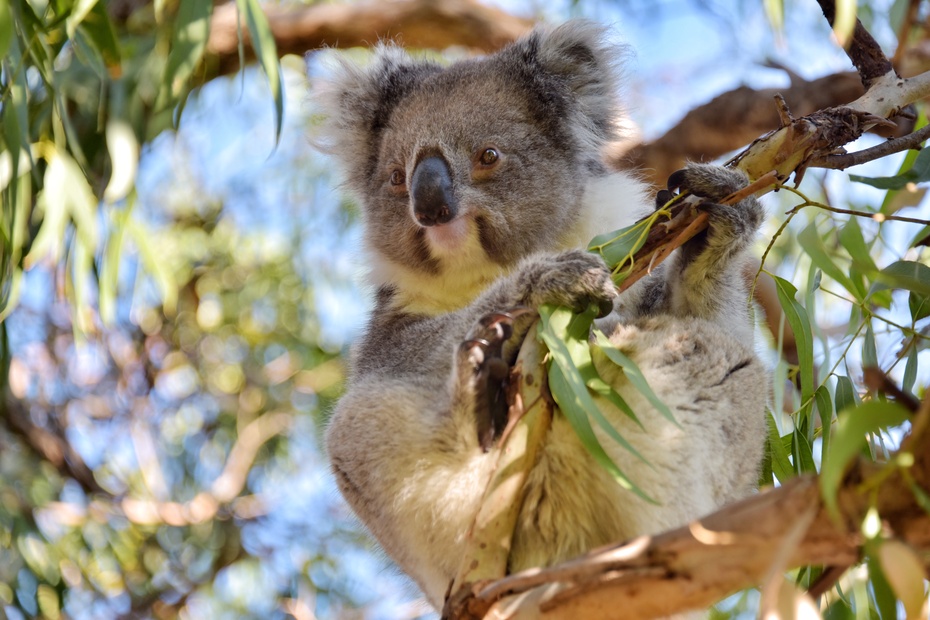 南大洋的深海,南大洋海域