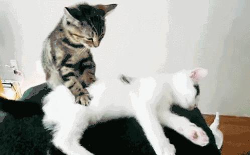 腿肿正确站姿,腿粗是因为胖还是以为腿型不好