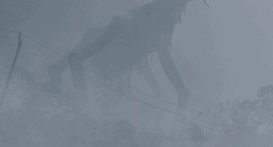 降暑必备,降暑必备清单