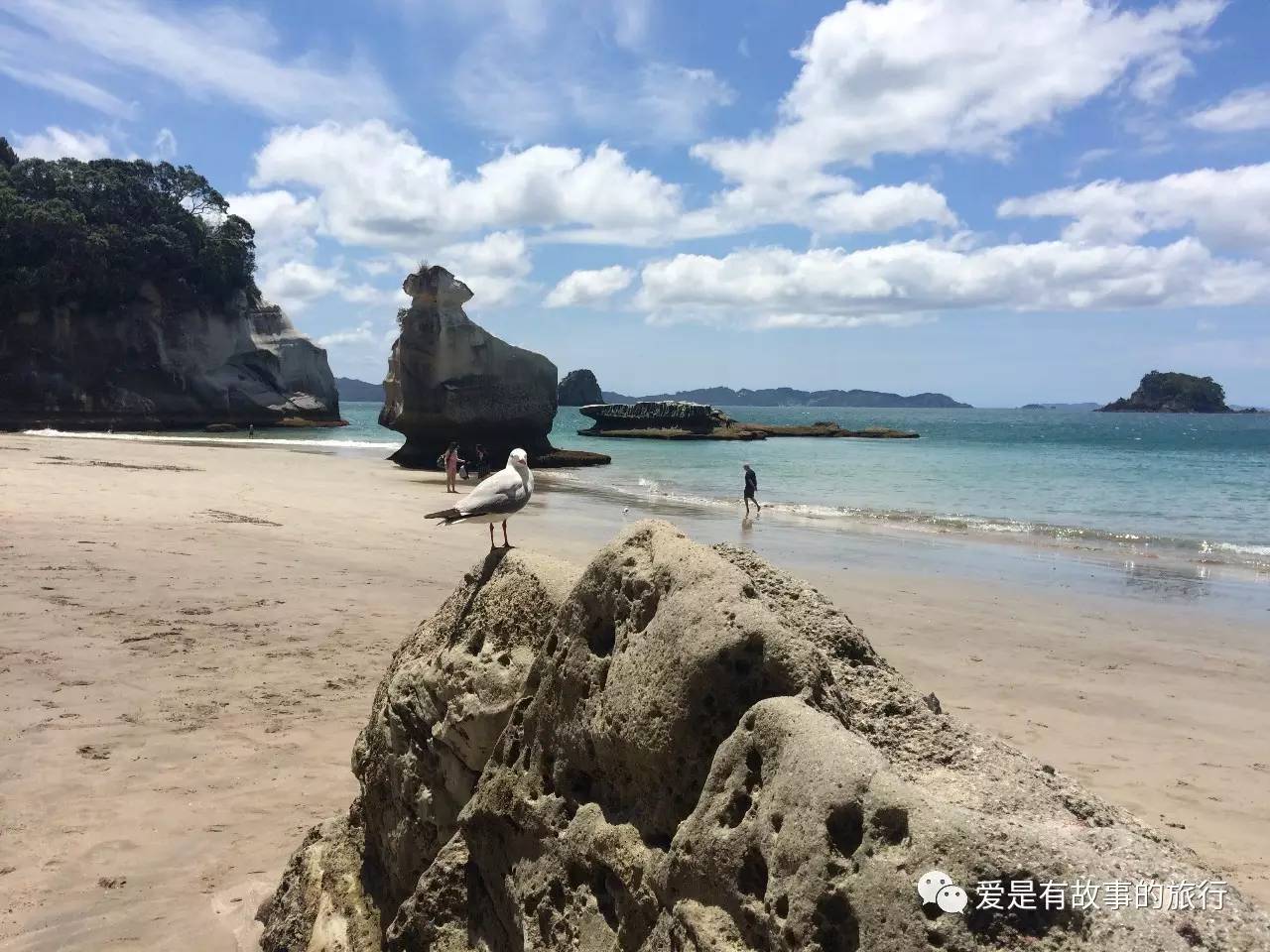 新西兰旅游10个技巧攻略,新西兰环球旅行