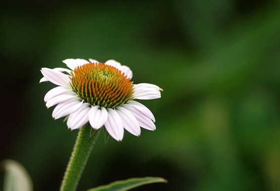 有个性的早安说说句句简短走心,早安语录励志点赞高的说说带图片