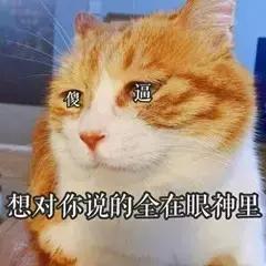 再给我一次机会，我绝对不会再做代购！