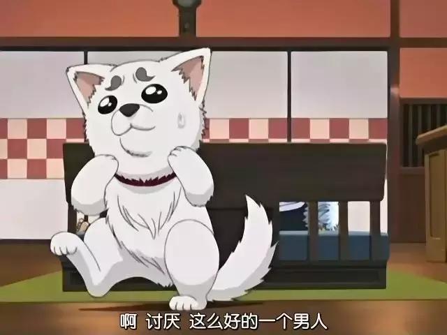 如果那天银时没去吃甜品,还会有银魂吗?