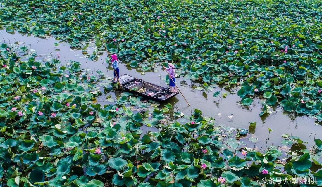 洪泽湖淮上江南,人间的天堂洪泽湖