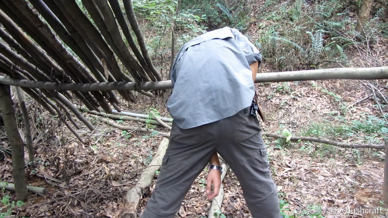 荒野求生徒手杀牛,荒野求生割生肉