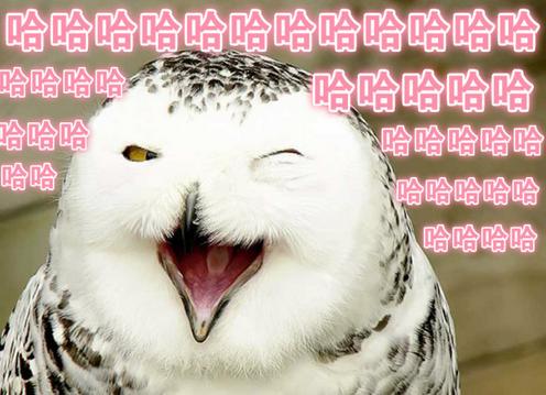 别人说要开心每一天怎么神回复,老哥们来个神回复