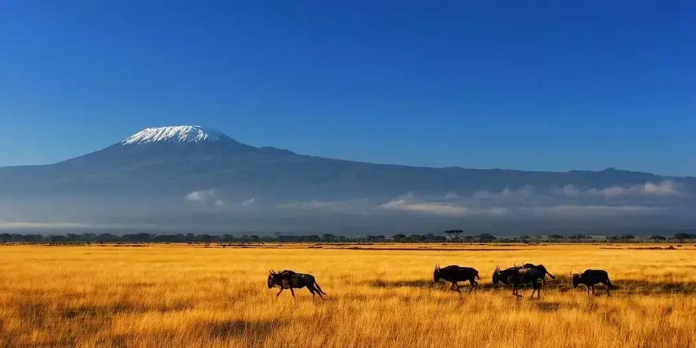 热门的夏天避暑哪里好,夏季避暑小众地