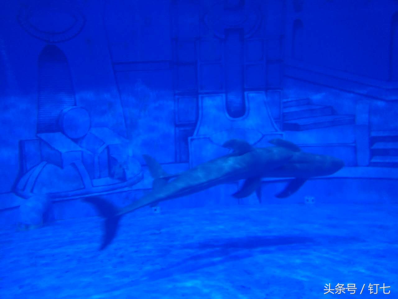 夏天与海绝配,夏天与海洋更配的图片