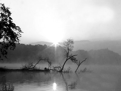 鬼领路事件,鬼领路