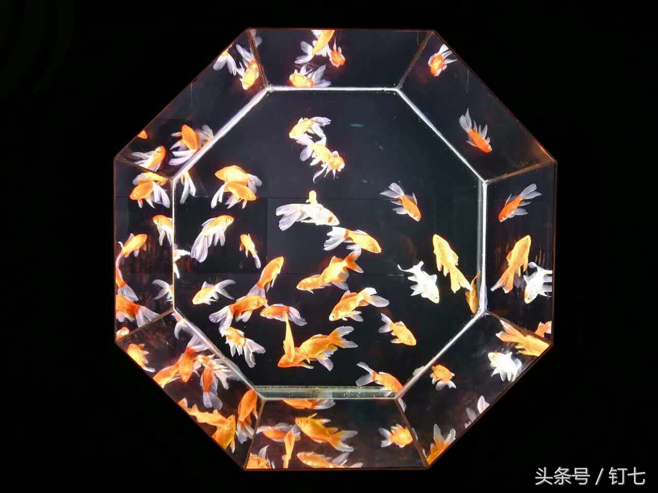 夏天与海绝配,夏天与海洋更配的图片