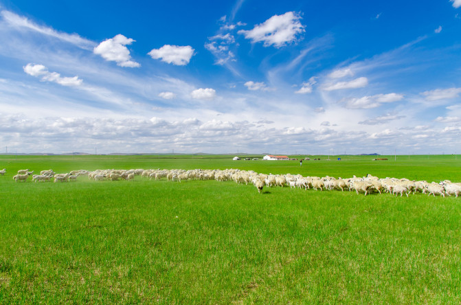 天堂草原锡林郭勒歌词及对白,真正的内蒙古锡林郭勒大草原