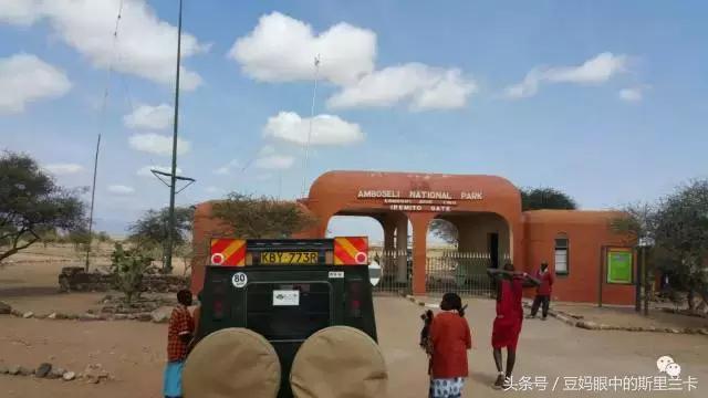 风动？树动？心动！致你，Kenya