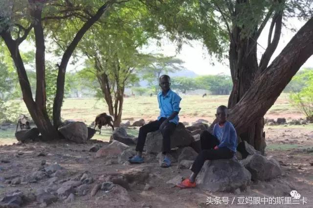 风动？树动？心动！致你，Kenya