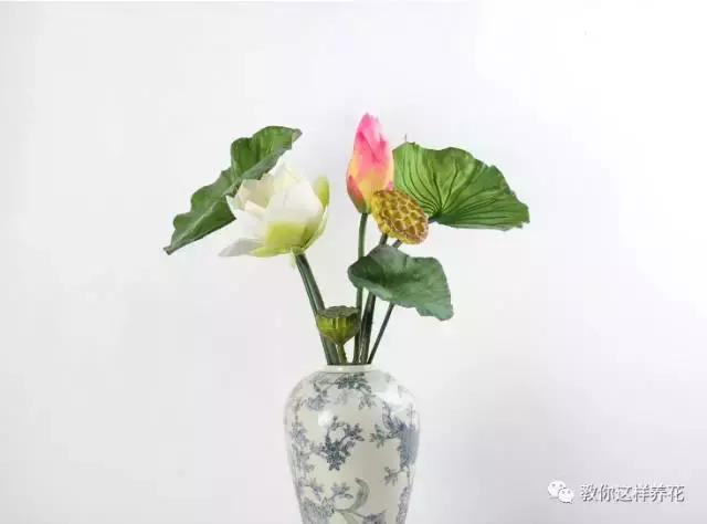 娈嬫灊璐ュ彾鎻掕姳,娈嬫灊璐ヨ姳