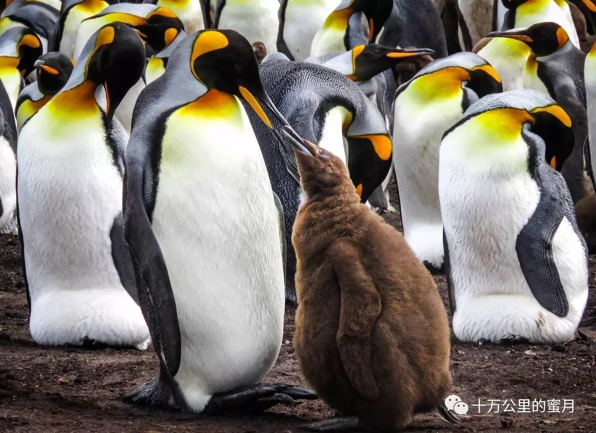 环游世界要花多少钱,环游世界应该去多少个国家