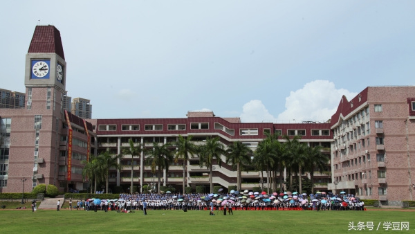 学豆观察︱在深圳高级中学读书是怎样的体验？