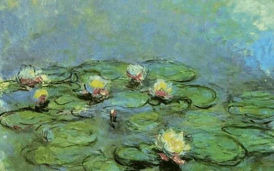 鱼缸养睡莲的养殖方法视频,家庭养睡莲用多大的缸合适