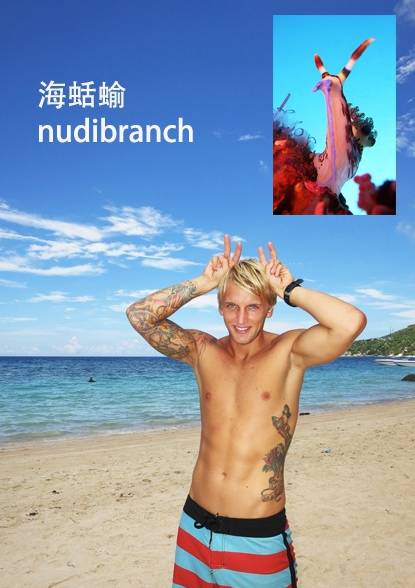 各种鱼的手势,海鱼表示动作词语