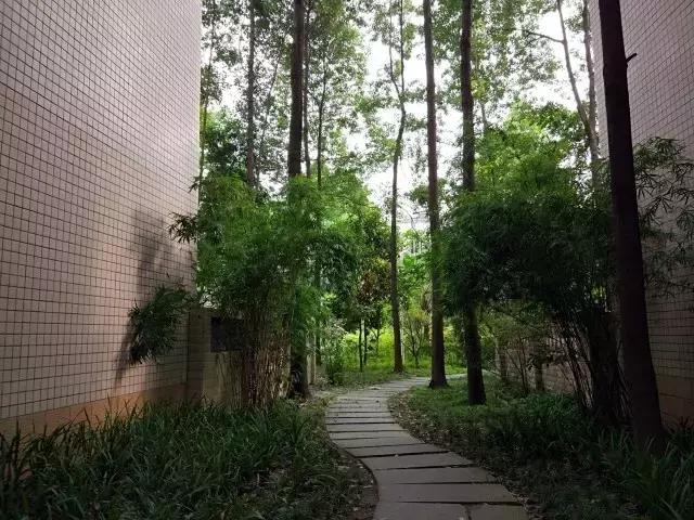 成都府河音乐花园四居,成都府河音乐花园值得买吗