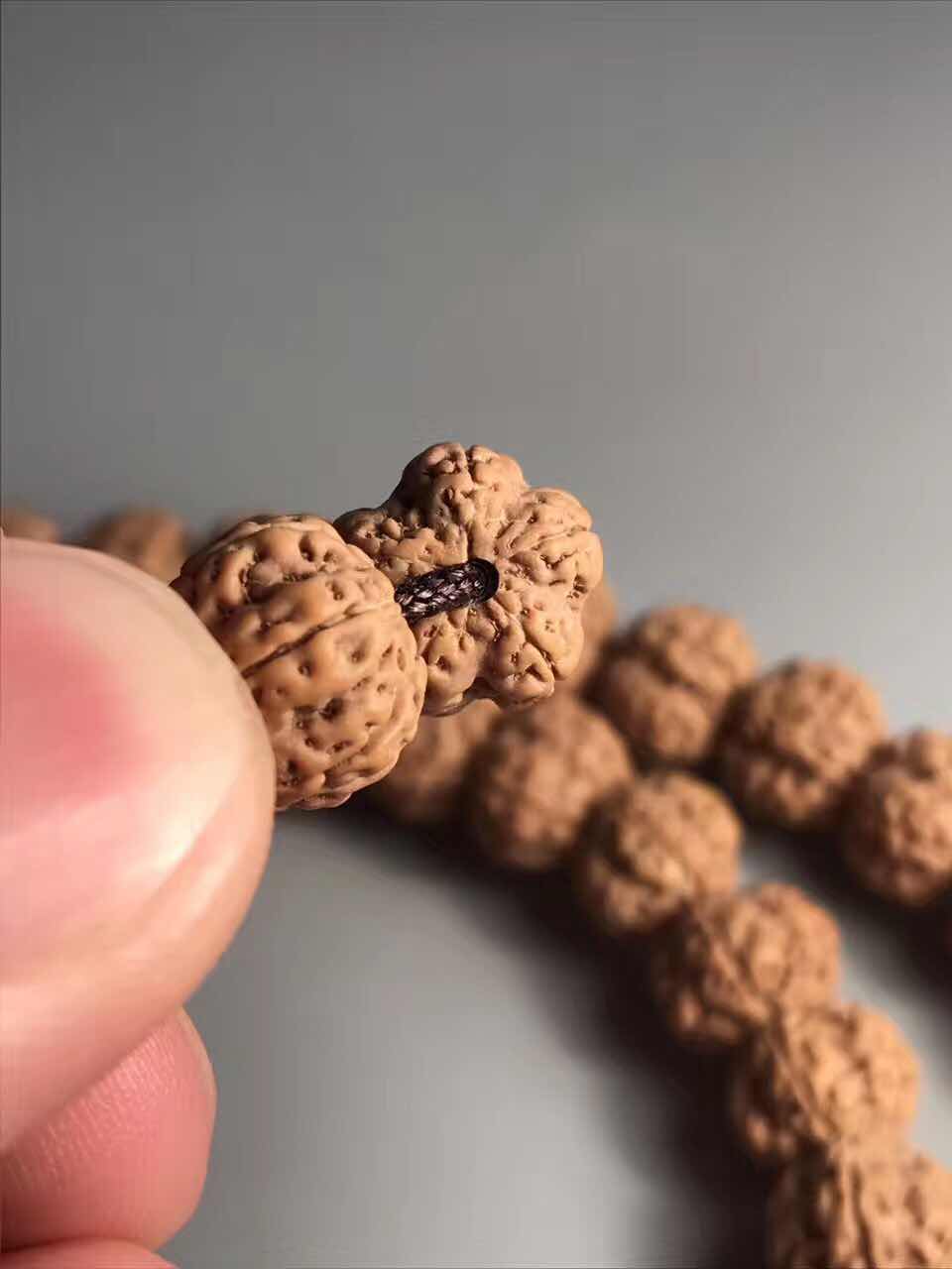 史上最全的小金刚菩提子介绍,再也不用担心被忽悠了!