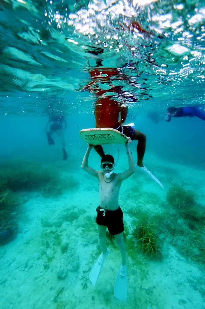 一起去帕劳旅游,去帕劳旅游自由行攻略