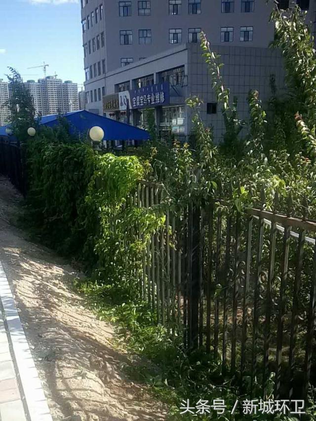 环境卫生最新整治,环境卫生整治限期整改通知书