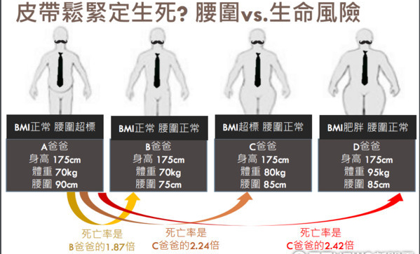 腰围其实反映着你的腹部,腰围暴露你的健康