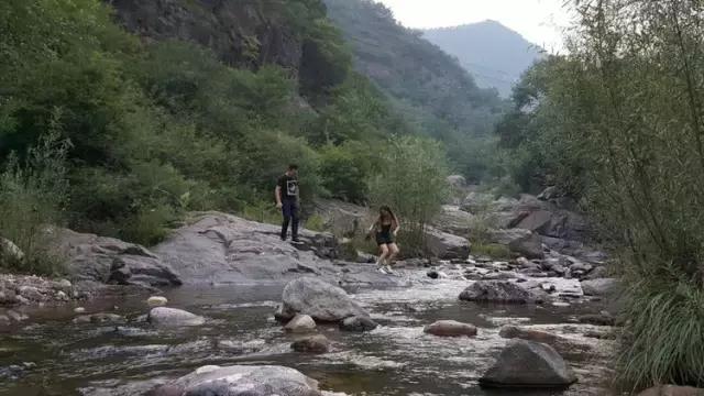 山西历山舜王坪大草原攻略,看云海高山草甸的地方